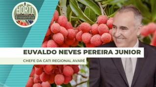 EVERALDO