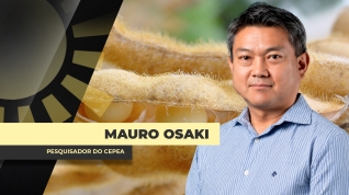 MAURO 2