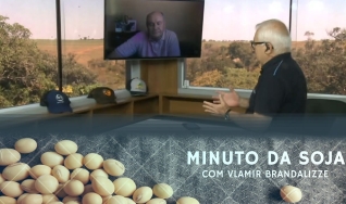 Tempo  & Dinheiro - Minuto da Soja, com Vlamir Brandalizze