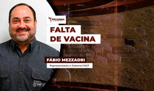 Fábio Mezzadri - Departamento Técnico e Econômico Legal do Sistema FAEP
