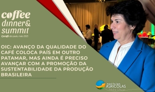 Vanusia Nogueira - Diretora Executiva da OIC