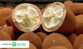 Podcast Eu Como -
