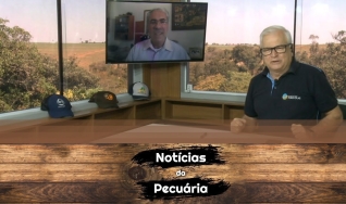 Tempo  & Dinheiro - Notícias da Pecuária, com Sérgio Braga