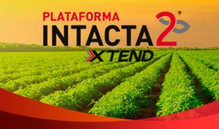 Natalia Carvalho - Líder de Lançamento da Plataforma Intacta 2 Xtend - Bayer