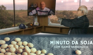 Tempo  & Dinheiro - Minuto da Soja, com Vlamir Brandalizze