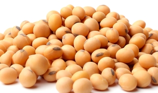 Mário Mariano Moraes Júnior - Diretor Comercial Agrosoya/Novo Rumo Commodities