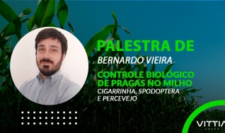 Bernardo Vieira - Palestra