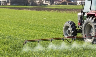 Flávio Barcellos Cardoso - Agrônomo Técnico de Vendas da US Borax - Rio Tinto