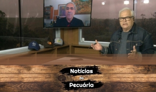 Tempo  & Dinheiro - Notícias da Pecuária, com Sérgio Braga