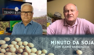 Tempo & Dinheiro