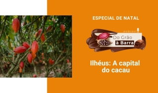 Do Grão à Barra