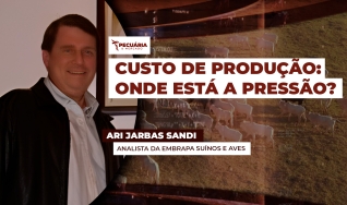 Ari Jarbas Sandi - Analista da Embrapa Suínos e Aves