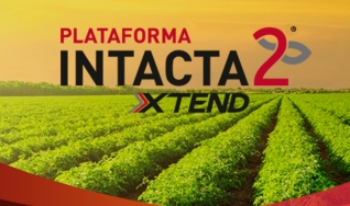 Natalia Carvalho - Líder de Lançamento da Plataforma Intacta 2 Xtend - Bayer