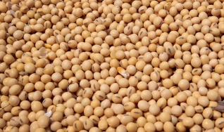 Eduardo Vanin - Analista de Mercado da Agrinvest