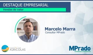 Marcelo Marra - Consultor MPrado