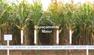 Entrevista com Marcus Santos - Líder de Agronomia da Corteva