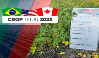 Ginaldo de Sousa