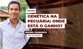 Bruno Grubisich - CEO da Seleon