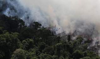 Francisco Beduschi Neto - Especialista em Agronegócio Sustentável da NWF