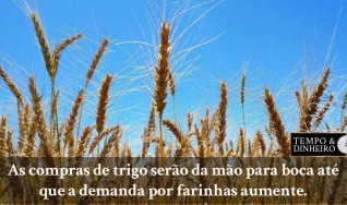 Tempo  & Dinheiro - Com João Batista Olivi