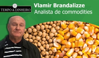 Tempo & Dinheiro