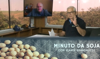 Tempo  & Dinheiro - Minuto da Soja, com Vlamir Brandalizze