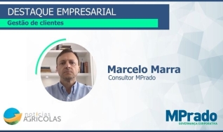 Marcelo Marra - Consultor MPrado
