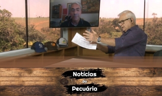 Tempo  & Dinheiro - Notícias da Pecuária, com Sérgio Braga