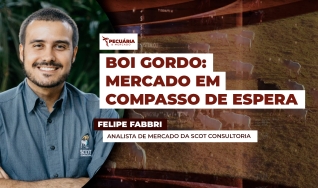 Felipe Fabbri - Analista de Mercado da Scot Consultoria