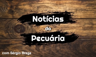 Tempo  & Dinheiro - Notícias da Pecuária, com Sérgio Braga