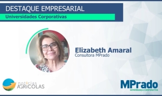 Elizabeth Amaral - Consultora MPrado