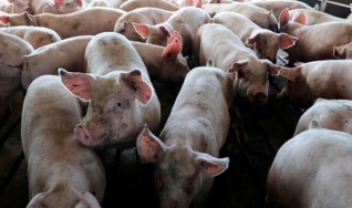 Tempo  & Dinheiro - Com João Batista Olivi