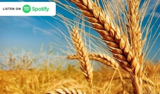 Podcast Eu Como -