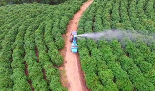 Alison Rampazzo e Matheus Waquil - Líder da Linha Café  e Agrônomo da Corteva Agriscience