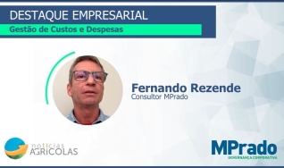 Fernando Rezende - Consultor MPrado