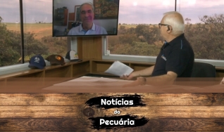 Tempo  & Dinheiro - Notícias da Pecuária, com Sérgio Braga
