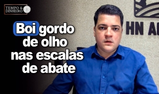 Hyberville Neto