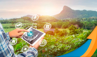 Silvia Massruhá - Chefe-geral da Embrapa Agricultura Digital