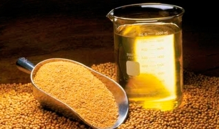 Eduardo Vanin - Analista de Mercado da Agrinvest
