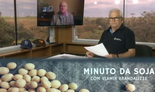 Tempo  & Dinheiro - Minuto da Soja, com Vlamir Brandalizze
