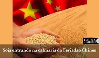 Tempo  & Dinheiro - Com João Batista Olivi