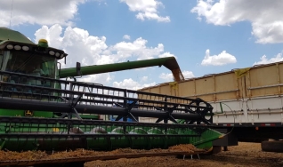 Marcílio Fernandes Marangoni - Engenheiro Agrônomo de Darcinópolis - TO