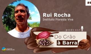 Do Grão à Barra -