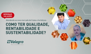 Atendendo ao novo mercado de frutas e hortaliças: qualidade, rentabilidade e sustentabilidade