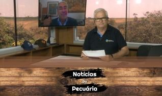 Tempo  & Dinheiro - Notícias da Pecuária, com Sérgio Braga