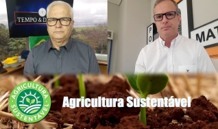 Tempo & Dinheiro