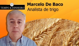 Trigo: Cotações, restrições, cotas e problemas de qualidade...