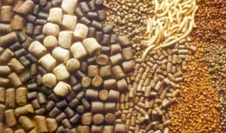 Clodys Menacho - Diretor comercial da Alltech do Brasil