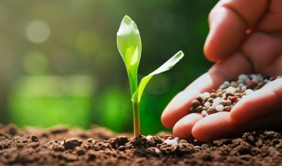 Alessandro Rabello - Consultor de Fertilizantes da AMR Business Inteligence