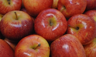 Marcela Guastalli Barbieri - Editora Econômica de Frutas do Cepea